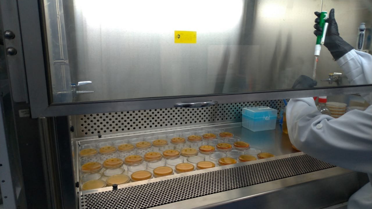 Estrutura e rotina do laboratório Celacanto Análises Ambientais