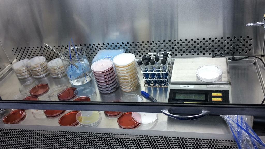 Estrutura e rotina do laboratório Celacanto Análises Ambientais